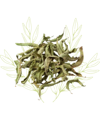 Verveine odorante séchée -...