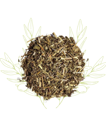 Reine des prés (fleurs...