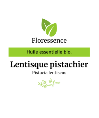 HE de Lentisque pistachier...