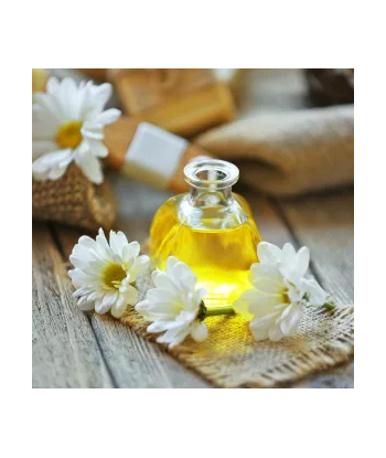 Macérat de Pâquerette BIO -...