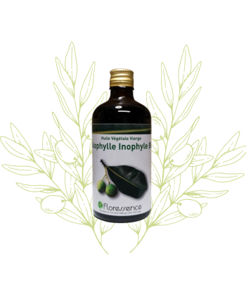 Huile de calophylle -...