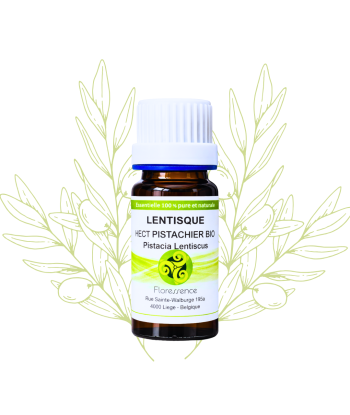 H.E. Lentisque pistachier...