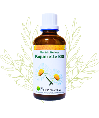 Macérat de Pâquerette BIO -...