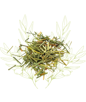 Citronnelle (feuilles...