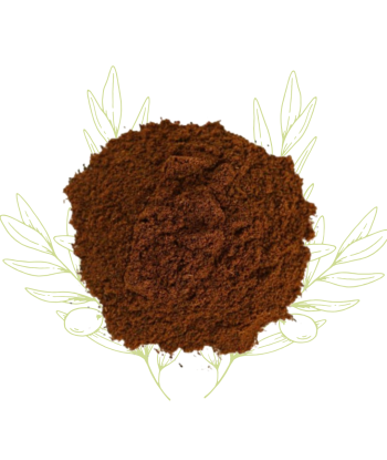 Clou de girofle (poudre) -...