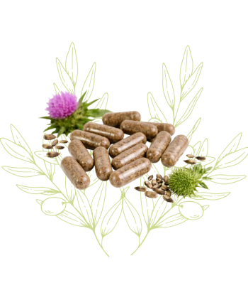 Complément de chardon-marie...