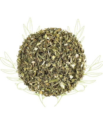 Chardon béni - Cnicus...