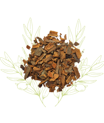 Cannelle (écorce brut...