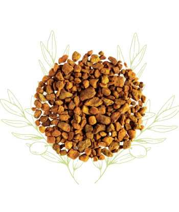 Curcuma (racine coupée) -...