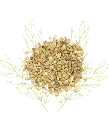 Gingembre (racine coupée) -...