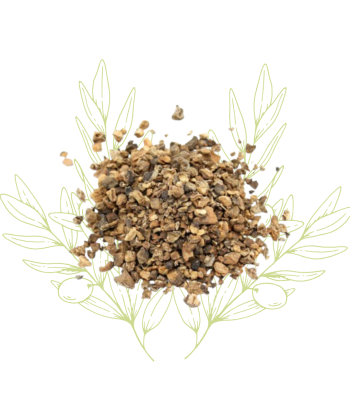 Harpagophytum (racine...