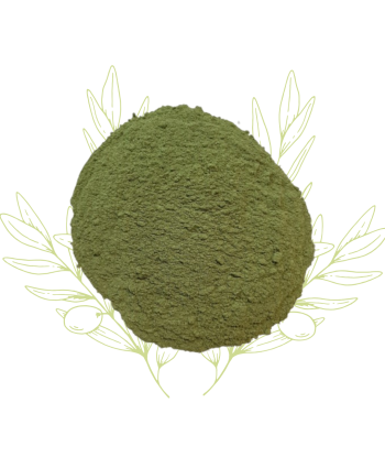 Ortie piquante (poudre) -...