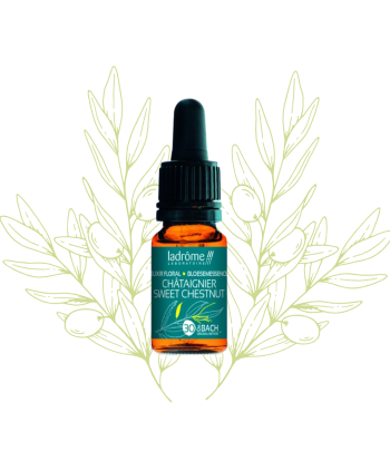 Élixir Floral de Chataigner...