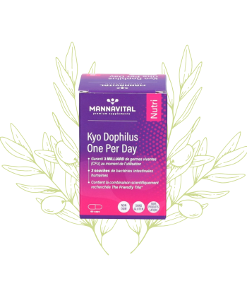 Complément de Kyo Dophilus...