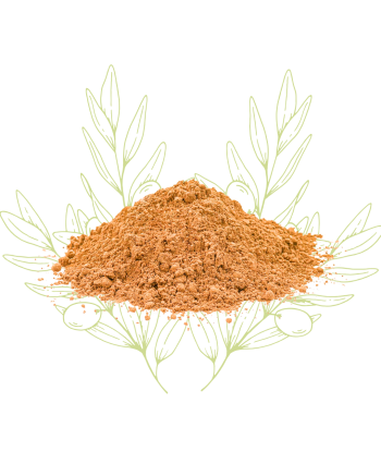 Costus Indien (Poudre) -...