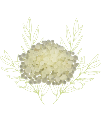 Gomme de mastic (Meska...