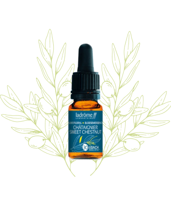 Élixir Floral de Chataigner...