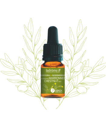 Élixir Floral de Marronnier...