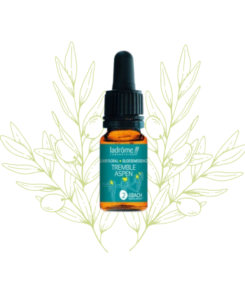 élixir floral de Tremble -...