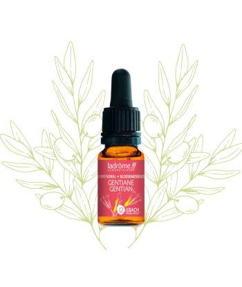 élixir floral de gentiane -...