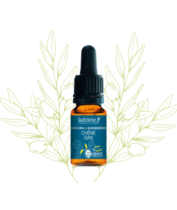 élixir floral de chêne -...