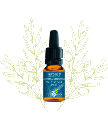 élixir floral de pin...