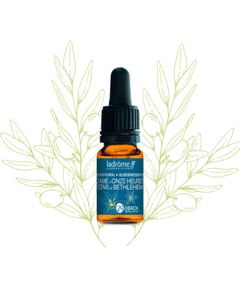 élixir floral d'étoile de...