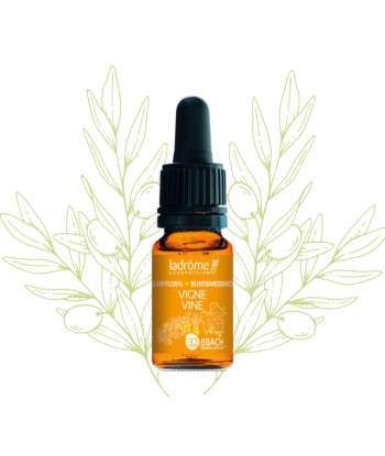élixir floral de vigne -...