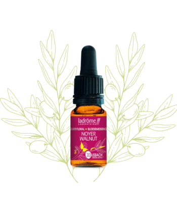 élixir floral de noyer -...