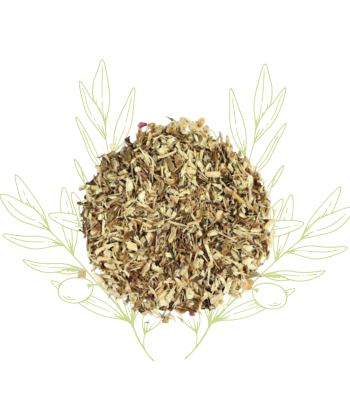 Échinacée pourpre (racines)...