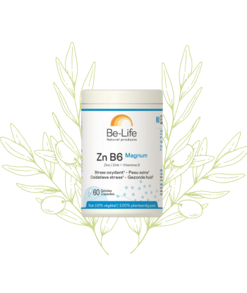 Complément de Zinc B6...