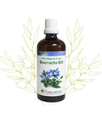 H.V. de Bourrache BIO -...
