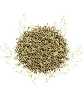 Pourpier de mer (feuilles...