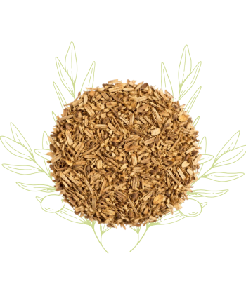 Saule (écorce sechée) -...