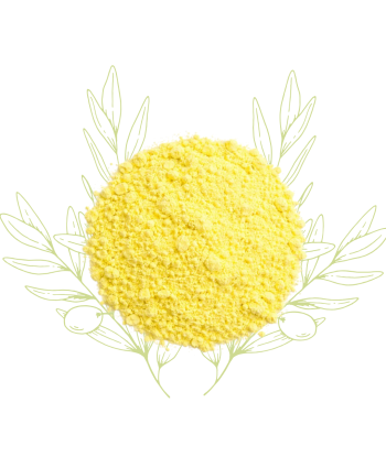 Soufre (poudre) - Sulfur