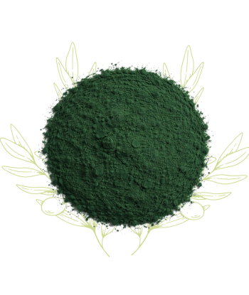 Spiruline (poudre) -...