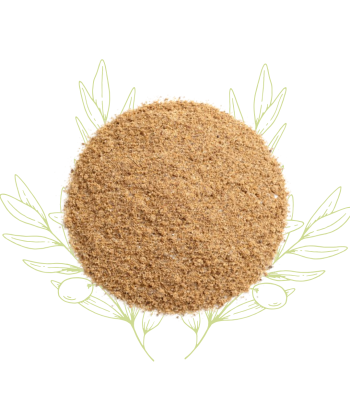 Genévrier (poudre) -...