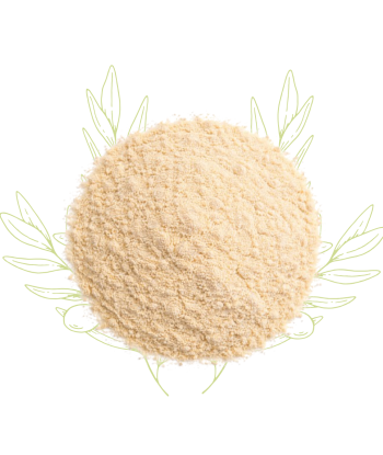 Gomme arabique (poudre) -...