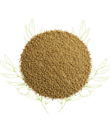 Thym (poudre) - Thymus...