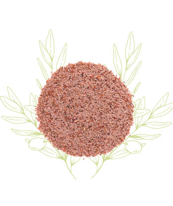 Psyllium (graines) -...