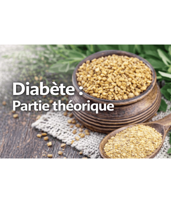 Atelier Diabéte: approche...