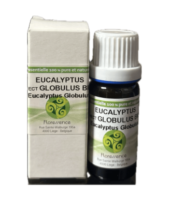 H.E. d'eucalyptus globulus...