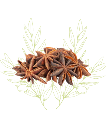 Badiane (Anis Étoilé) -...