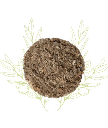 ARTICHAUT (feuilles)-Cynara...
