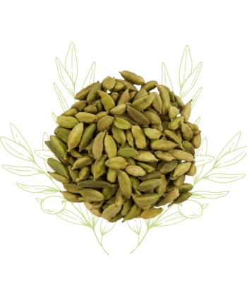 Cardamome (fruit sec) -...