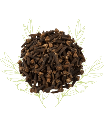 Clou de Girofle - Syzygium...