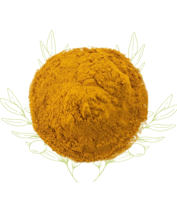 Curcuma (poudre) - Curcuma...