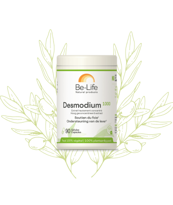 DESMODIUM 1000 - 90 gélules