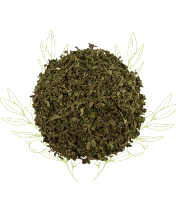 Ortie (feuilles) –...