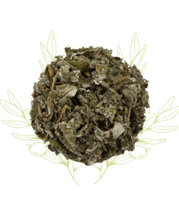 Framboisier (feuilles) –...